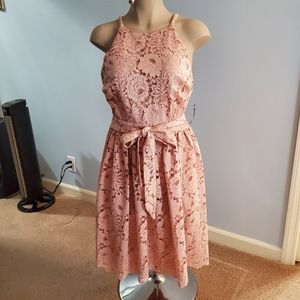 New! The Limited Lace Halter Dress Size 6
